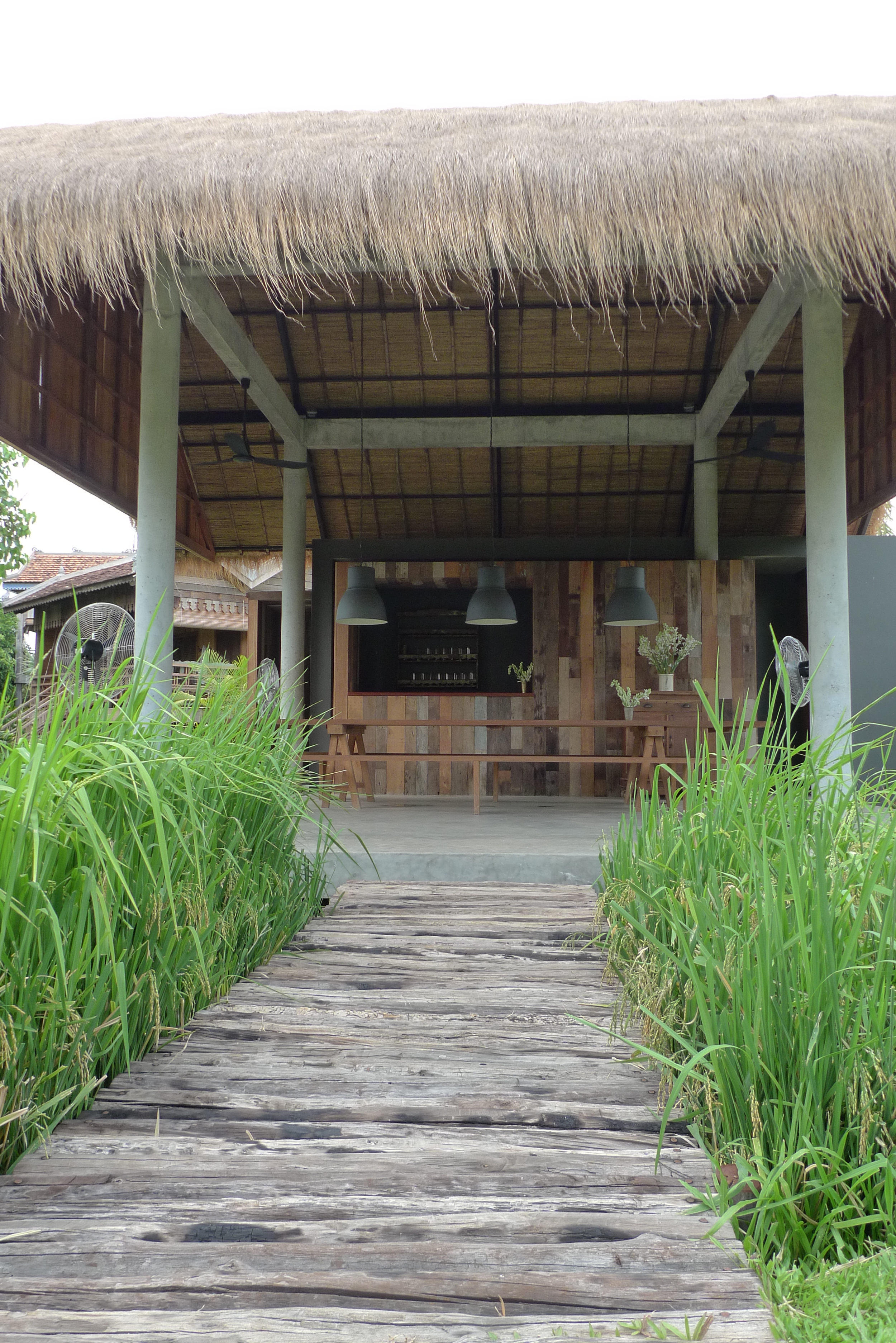 Bridge across the rice paddy to the lounge