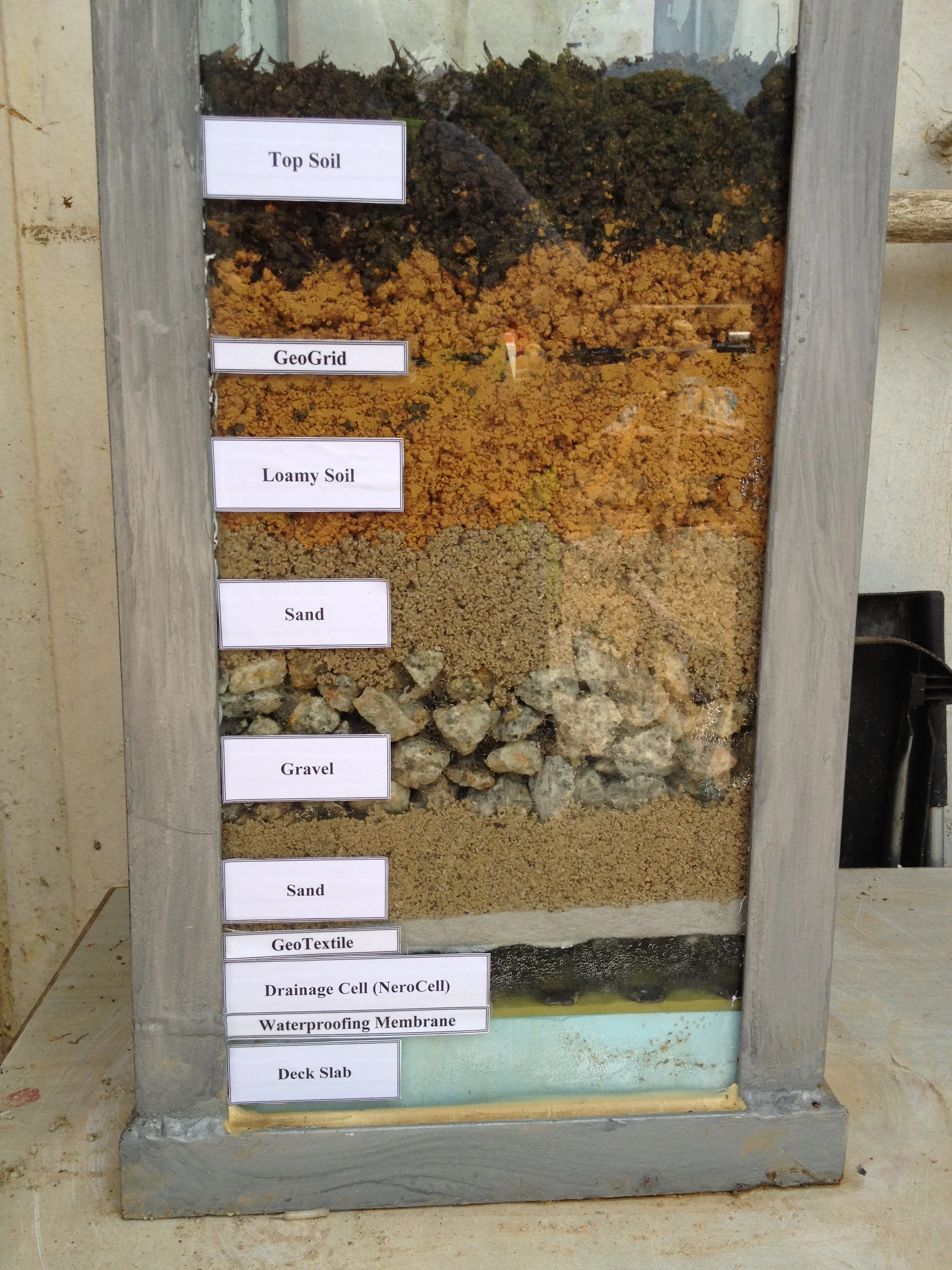 Cross section through the growing media