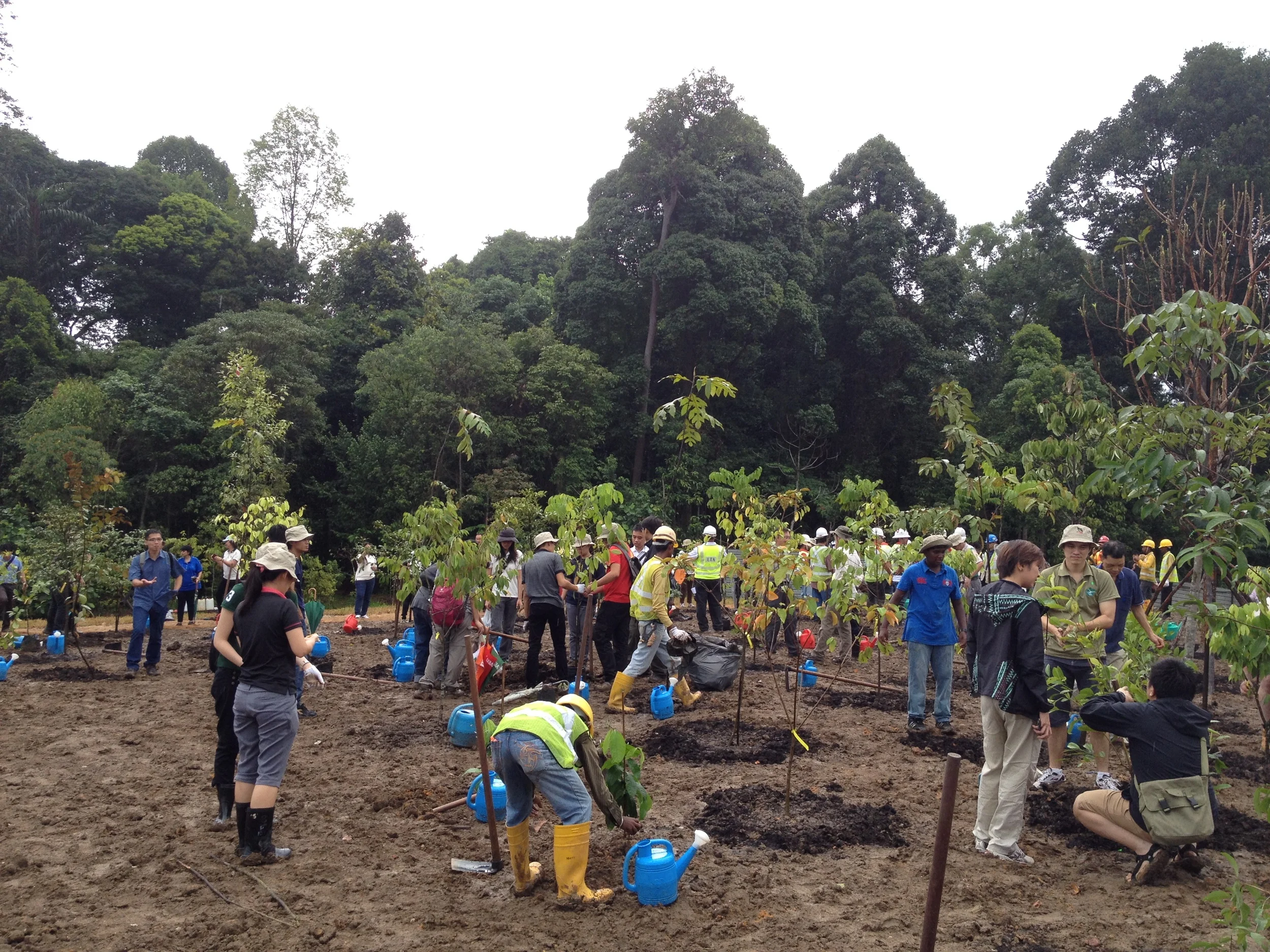 The greening of the Eco-Link @ BKE