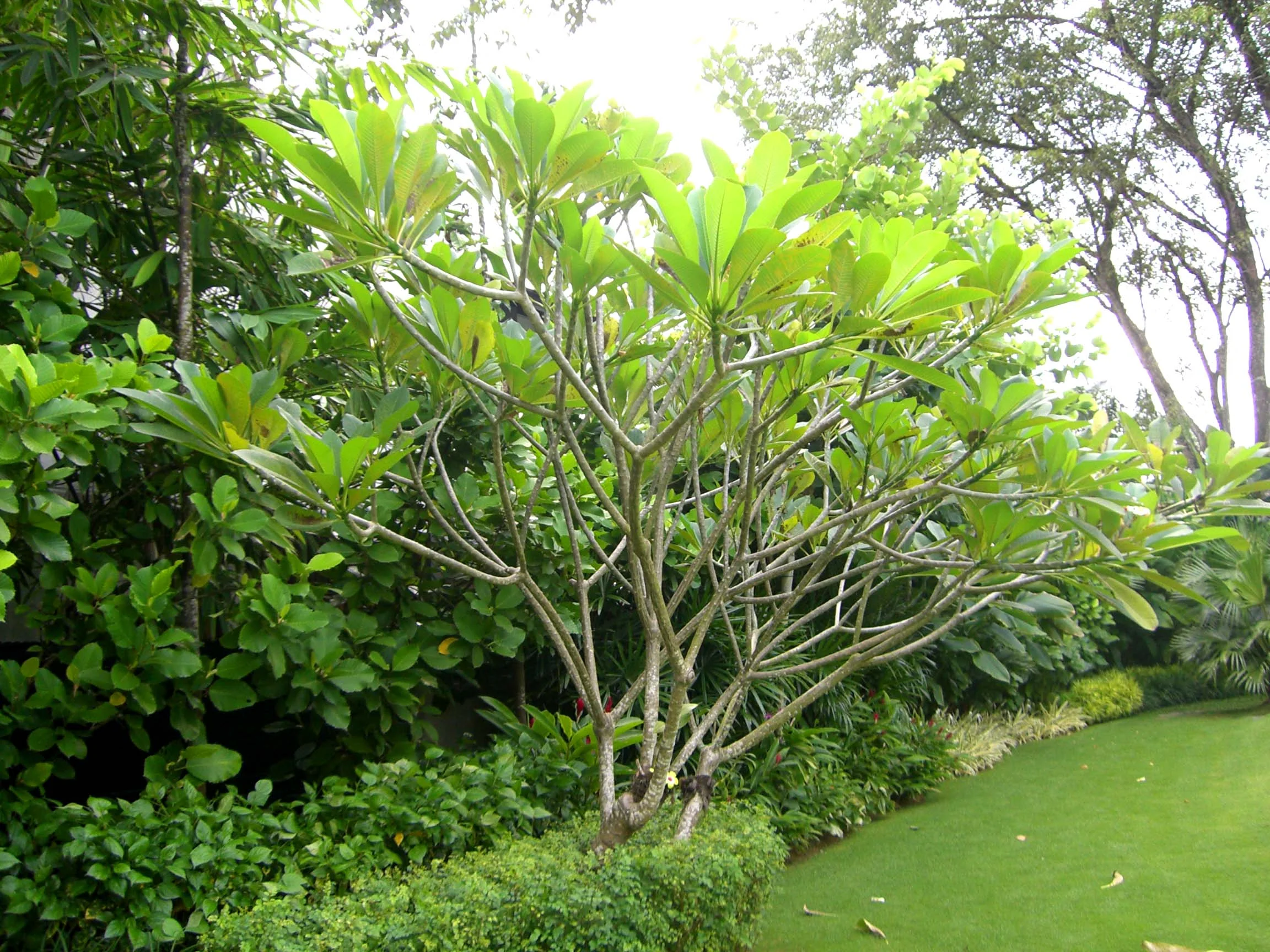 Tanglin Hill House 18 SCLD.jpg