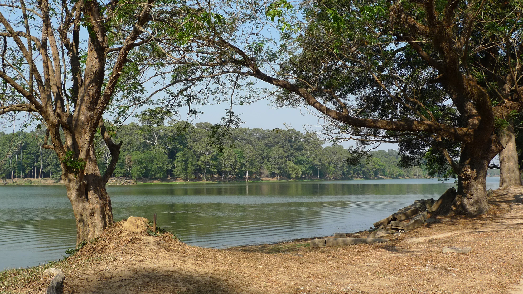 P1000467a.jpg