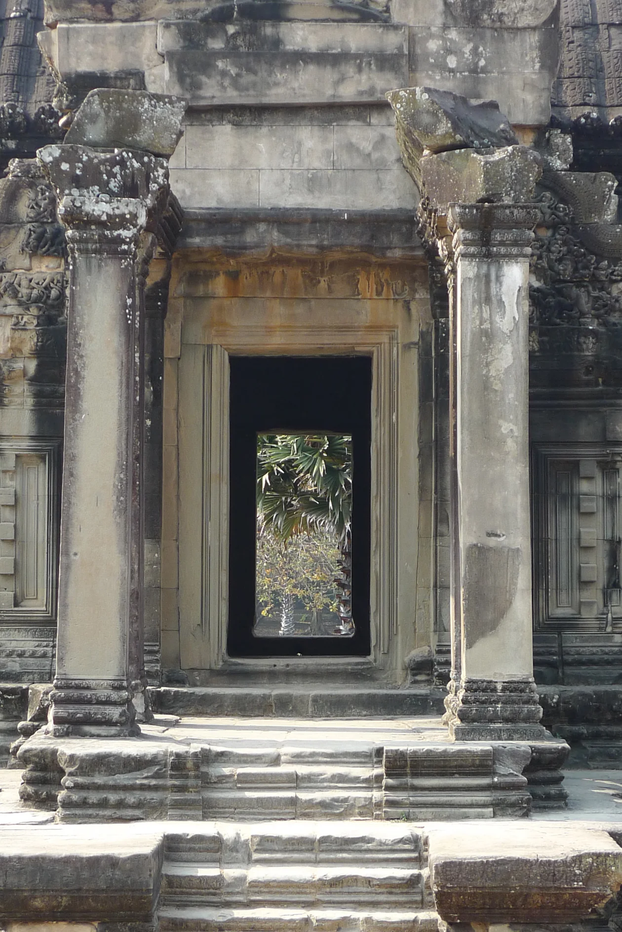 P1000668a.jpg
