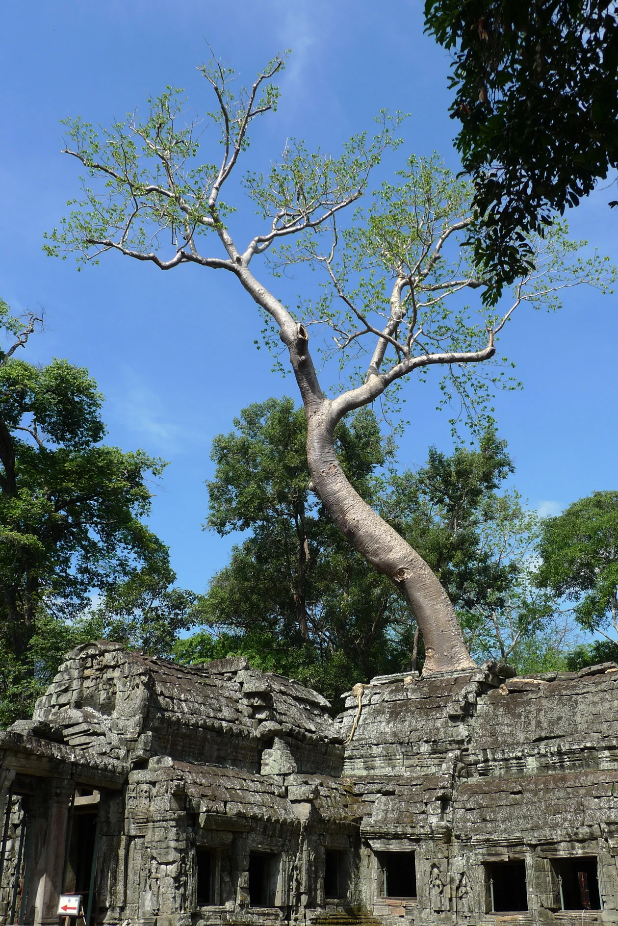 P1120791a.jpg
