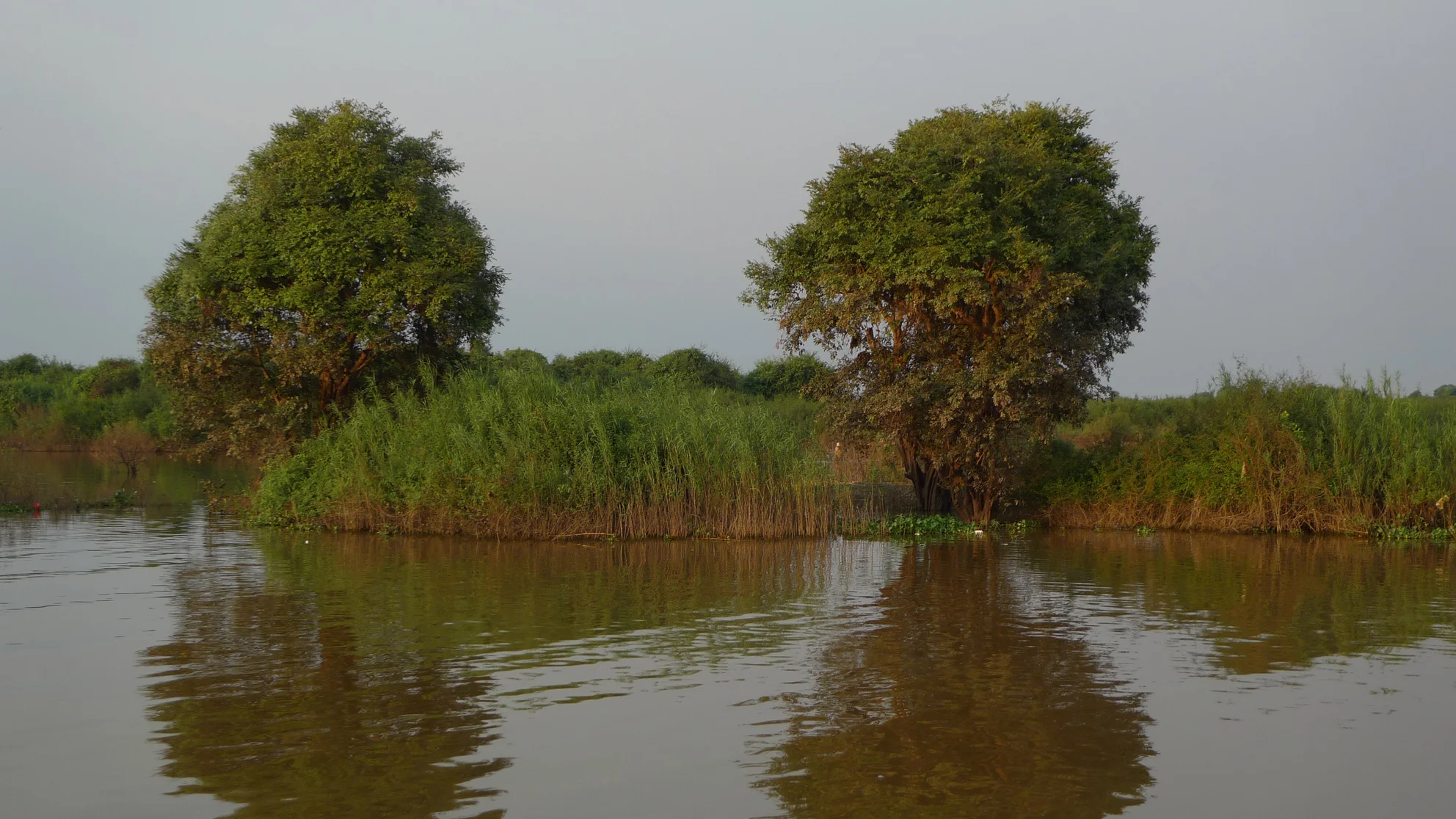 P1090209a.jpg
