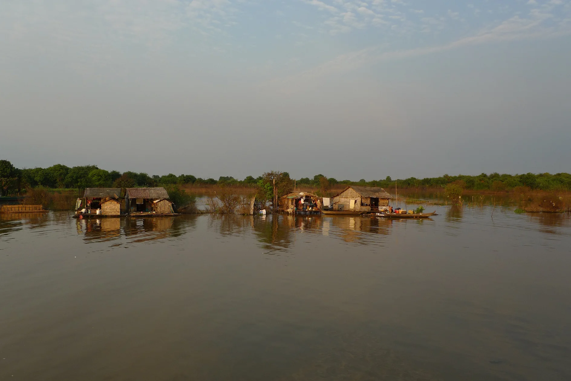 P1090201a.jpg