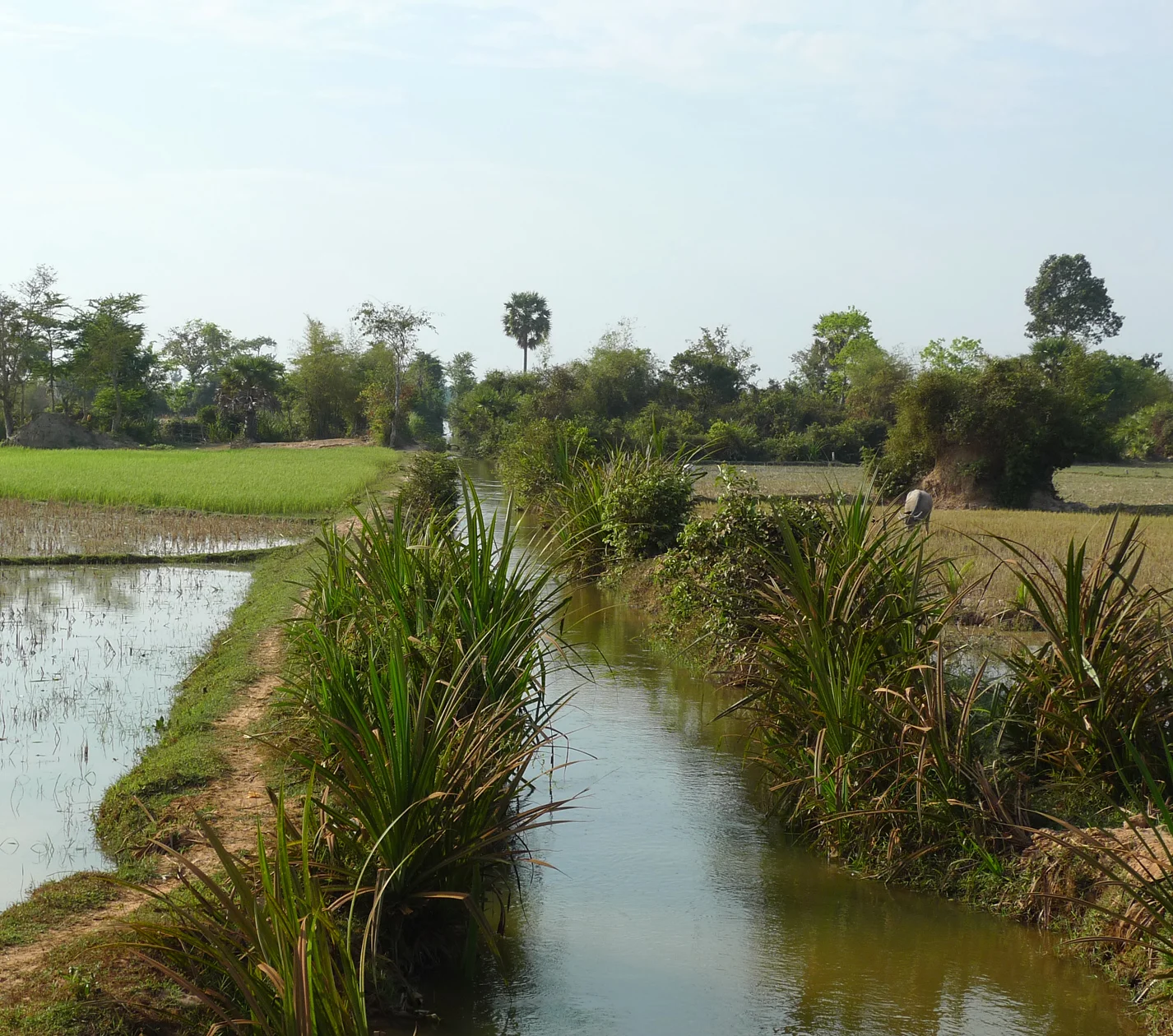 Irrigation canals around Siem Reap