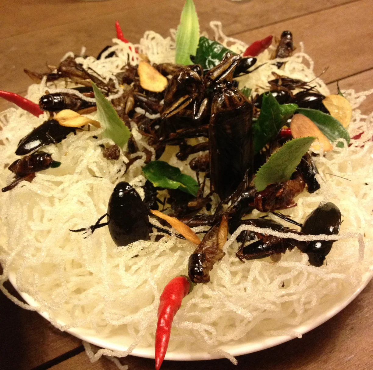 Edible insects and bugs