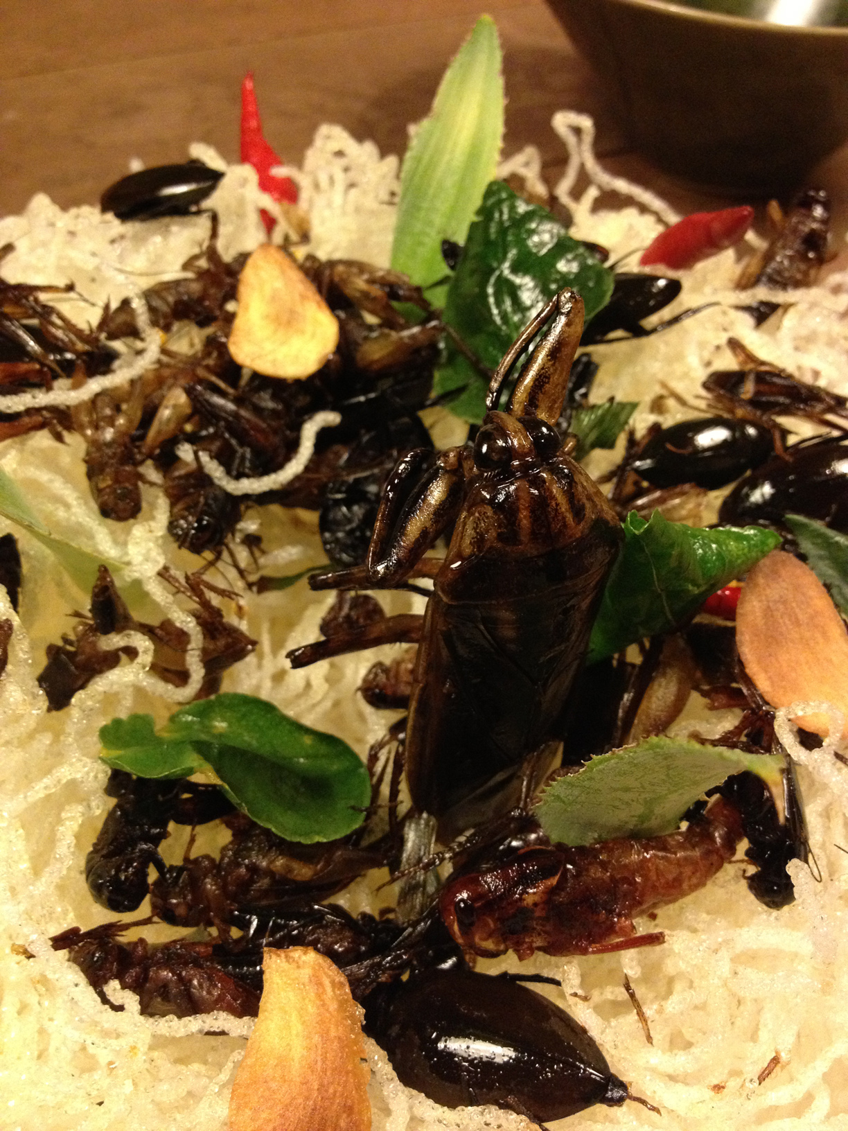 Yummy insects for dinner