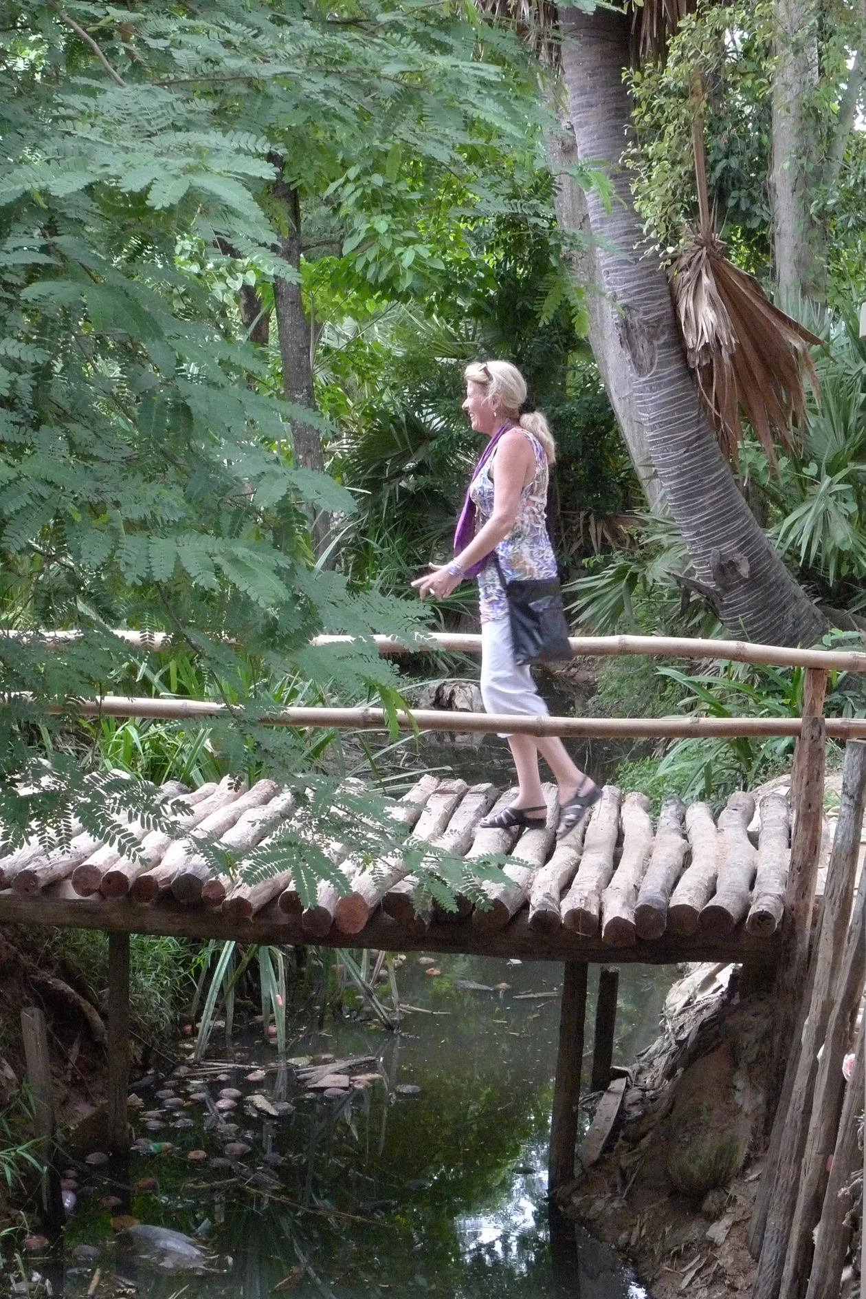 Traditional bridge