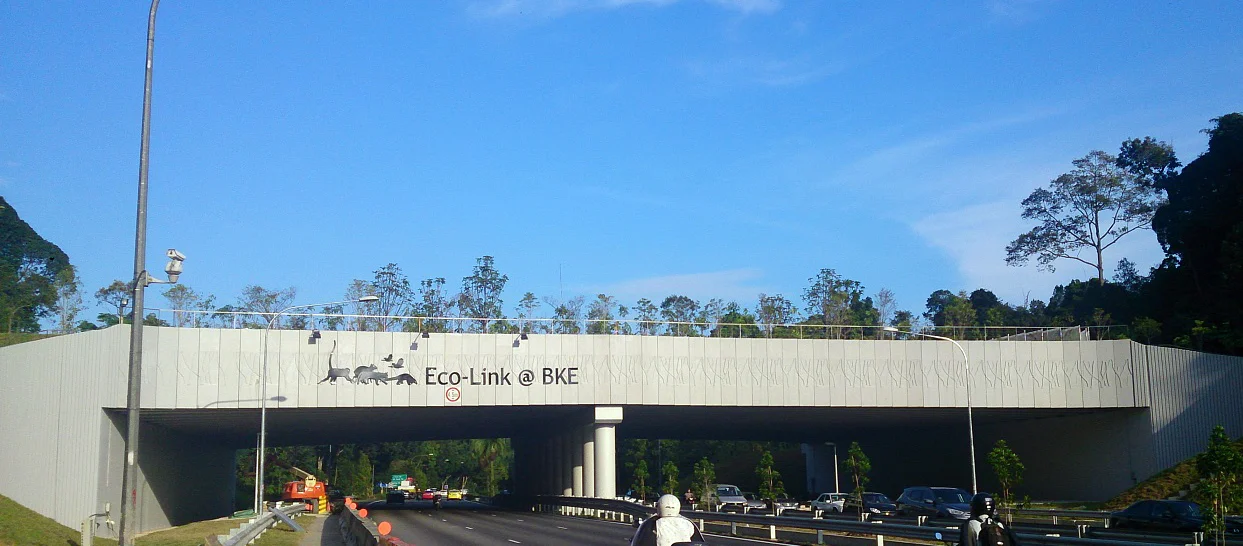 Long view of Eco-Link @ BKE with vegetation visible