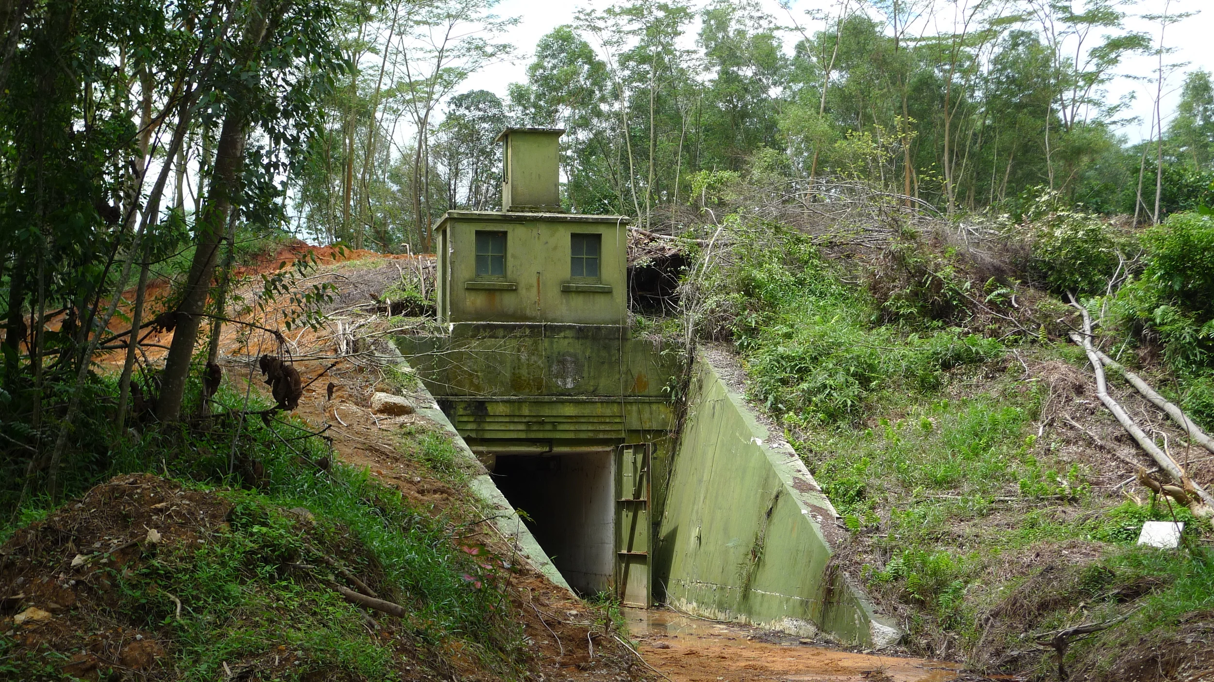 Old British Bunker / Store at Woodlands