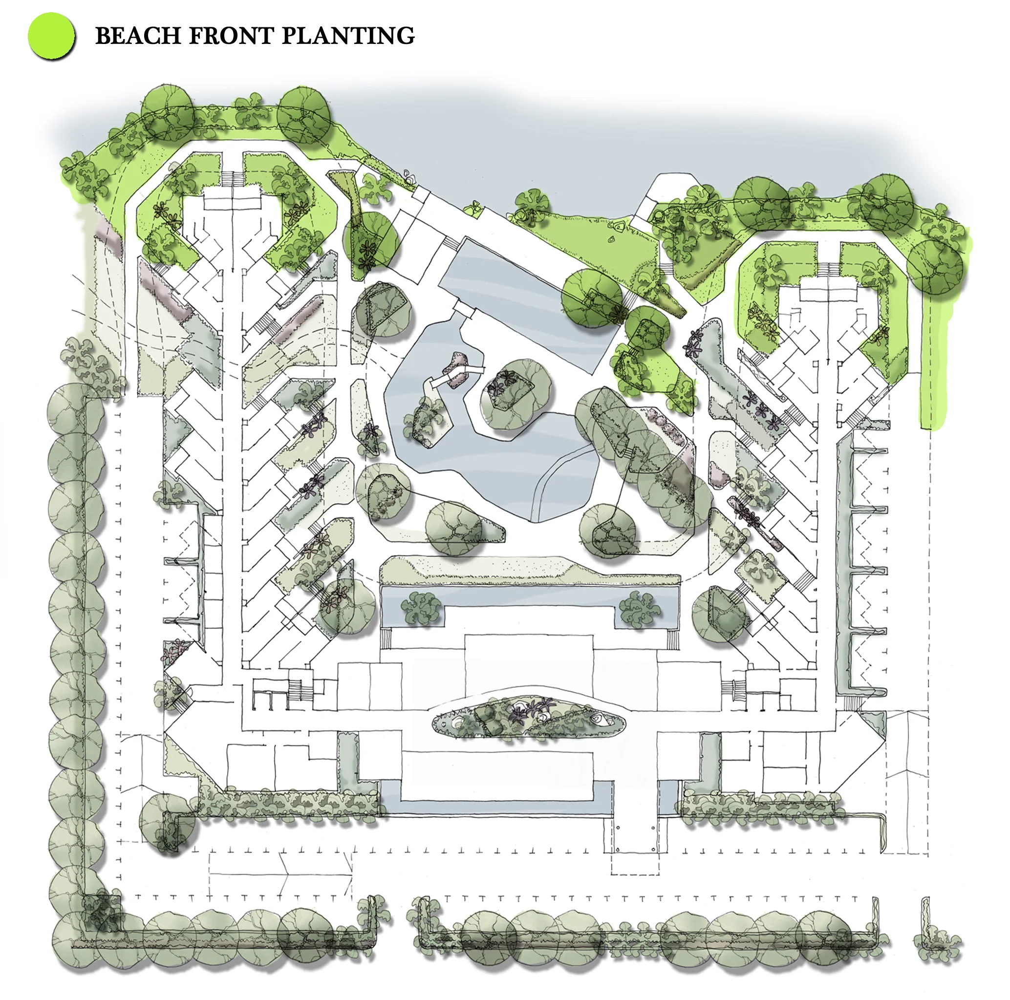 Beach Front Planting.jpg