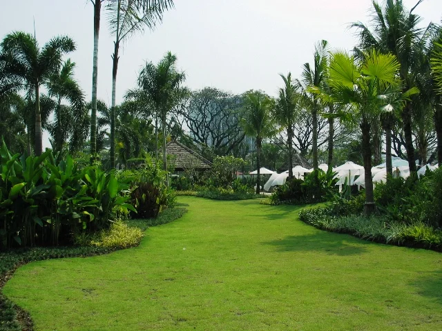 rear lawn area.JPG