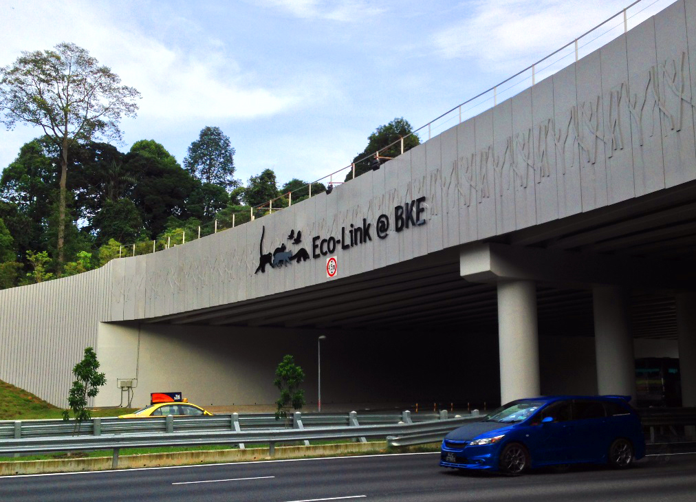 Eco-Link BKE 17 SCLD.jpg