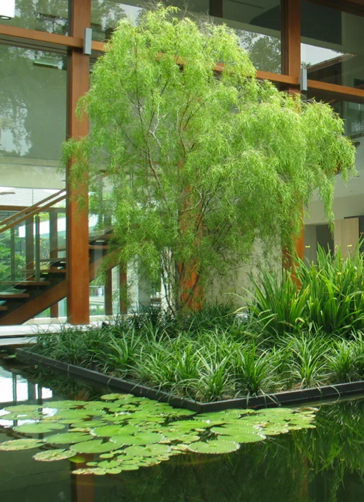 tanglin pond 1a.jpg