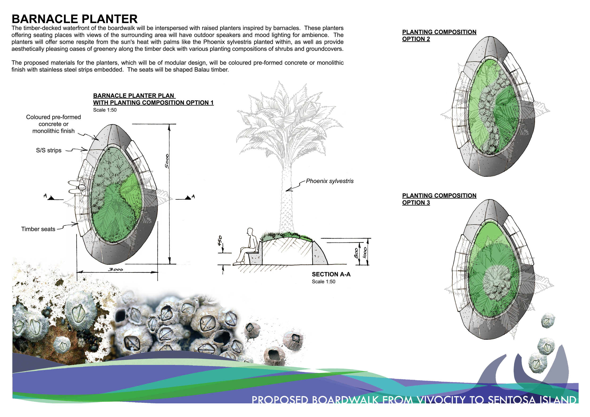 Barnacle_Planter_Design.jpg