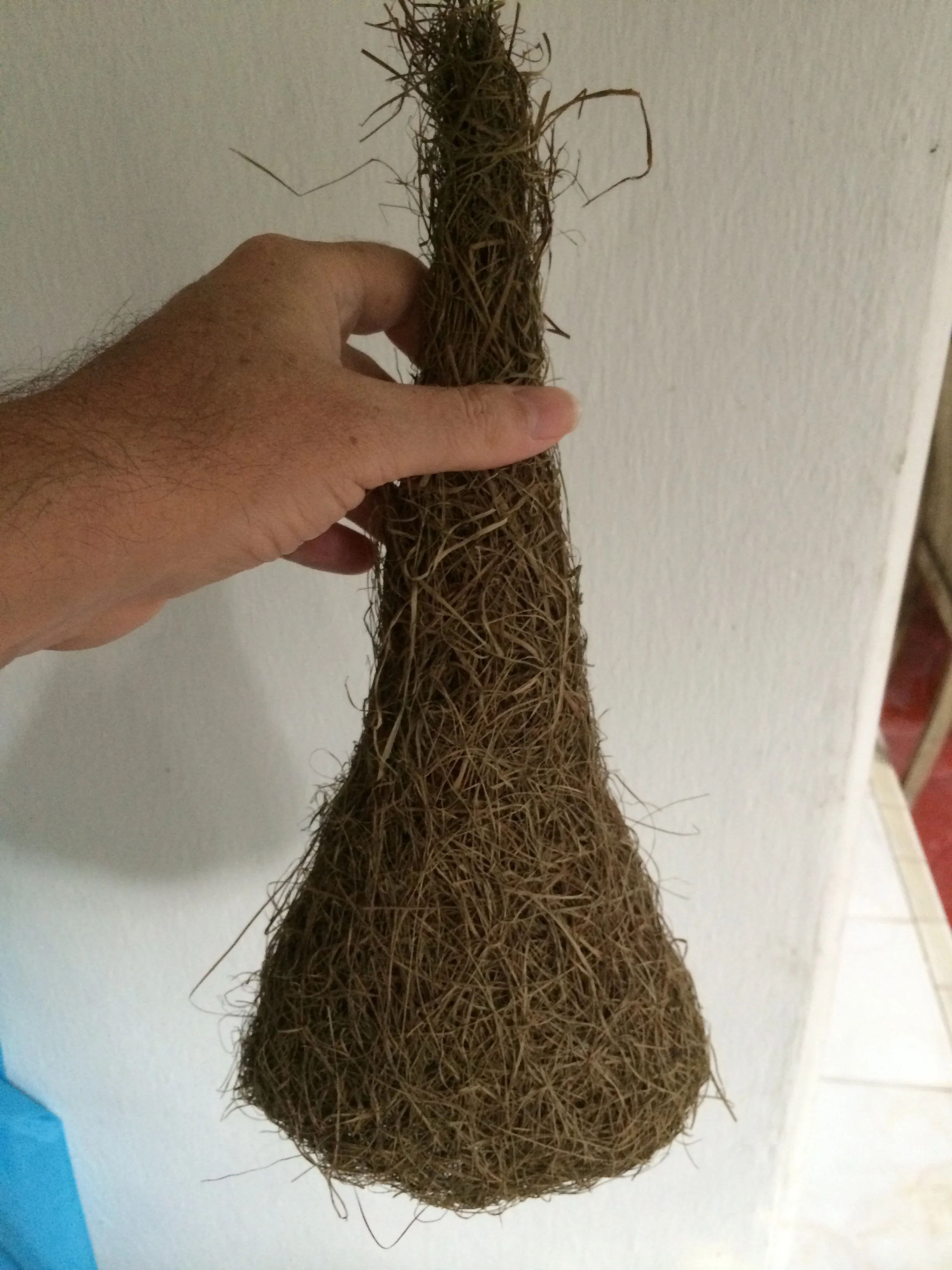 Baya Weaver Nest 