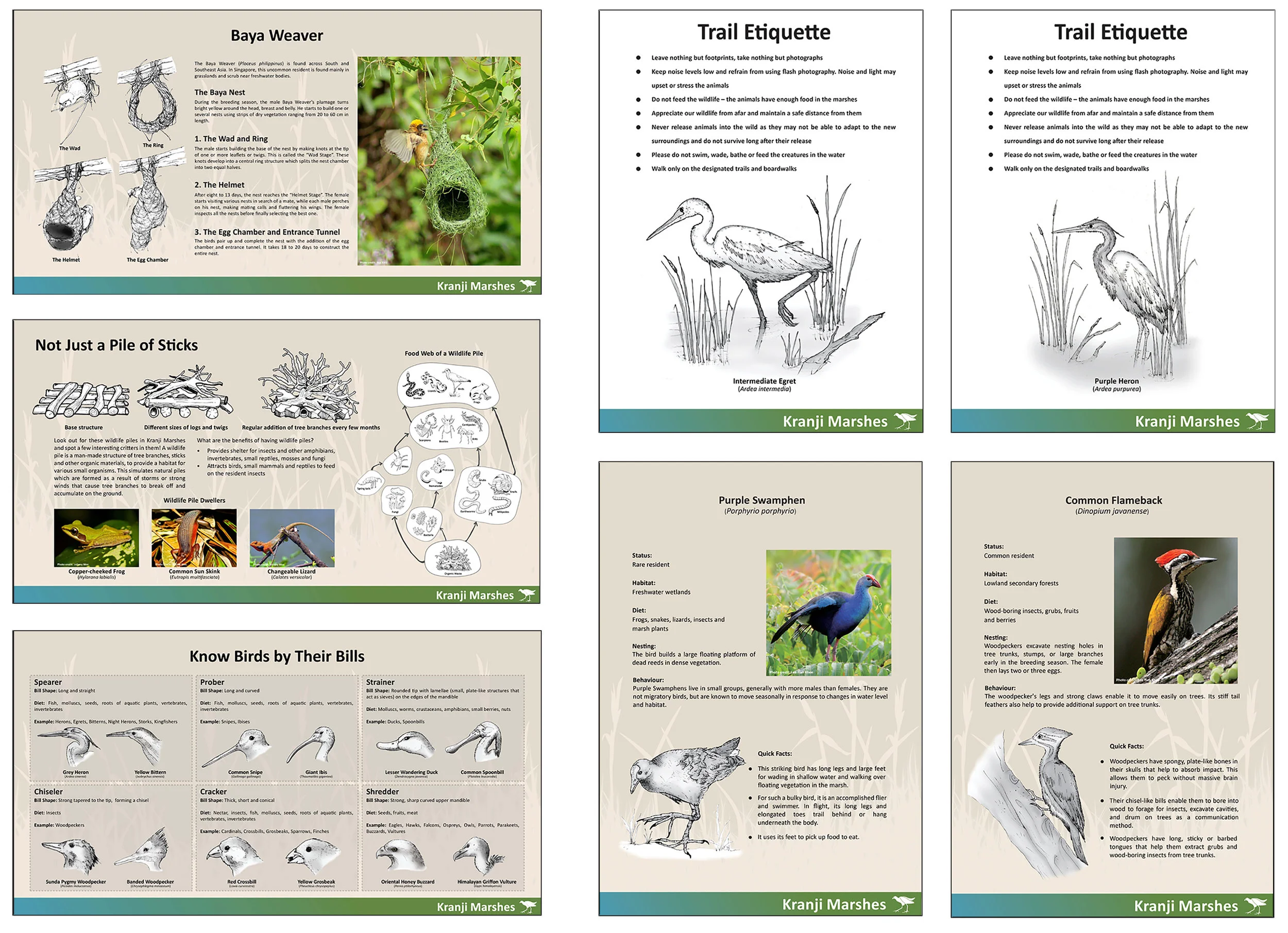 Examples of some of SCLD's Educational Signage