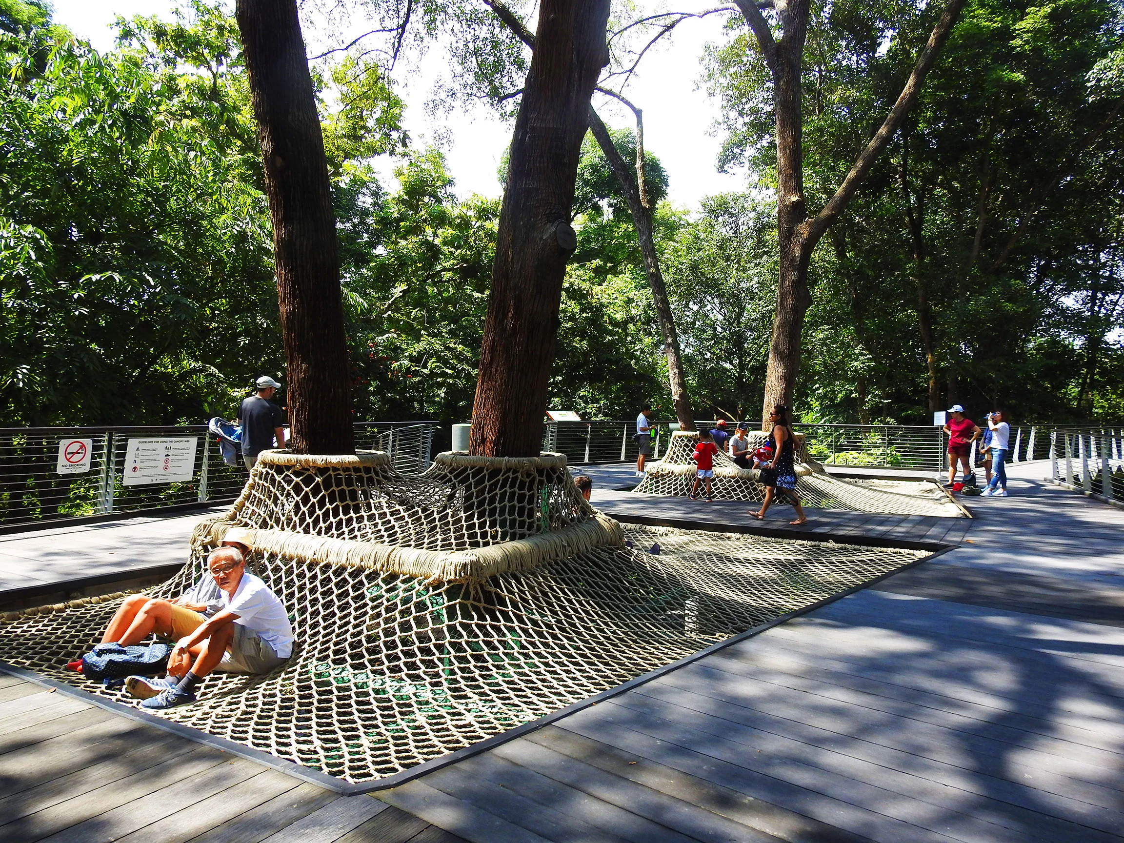The Canopy Web at the Learning Forest