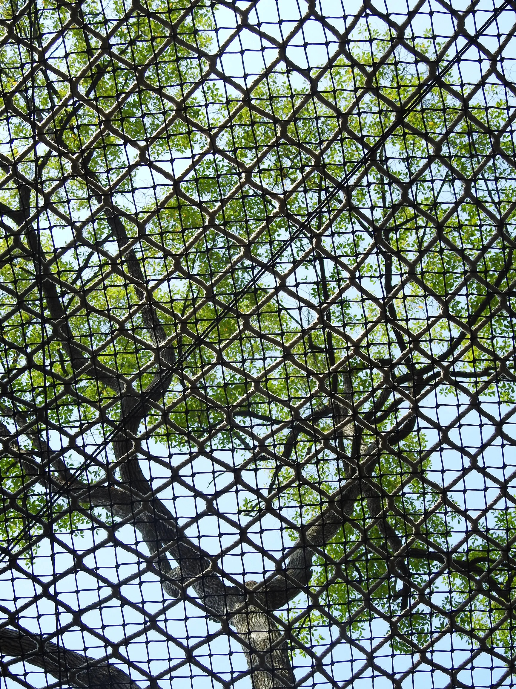 DSCN5477sm.jpg