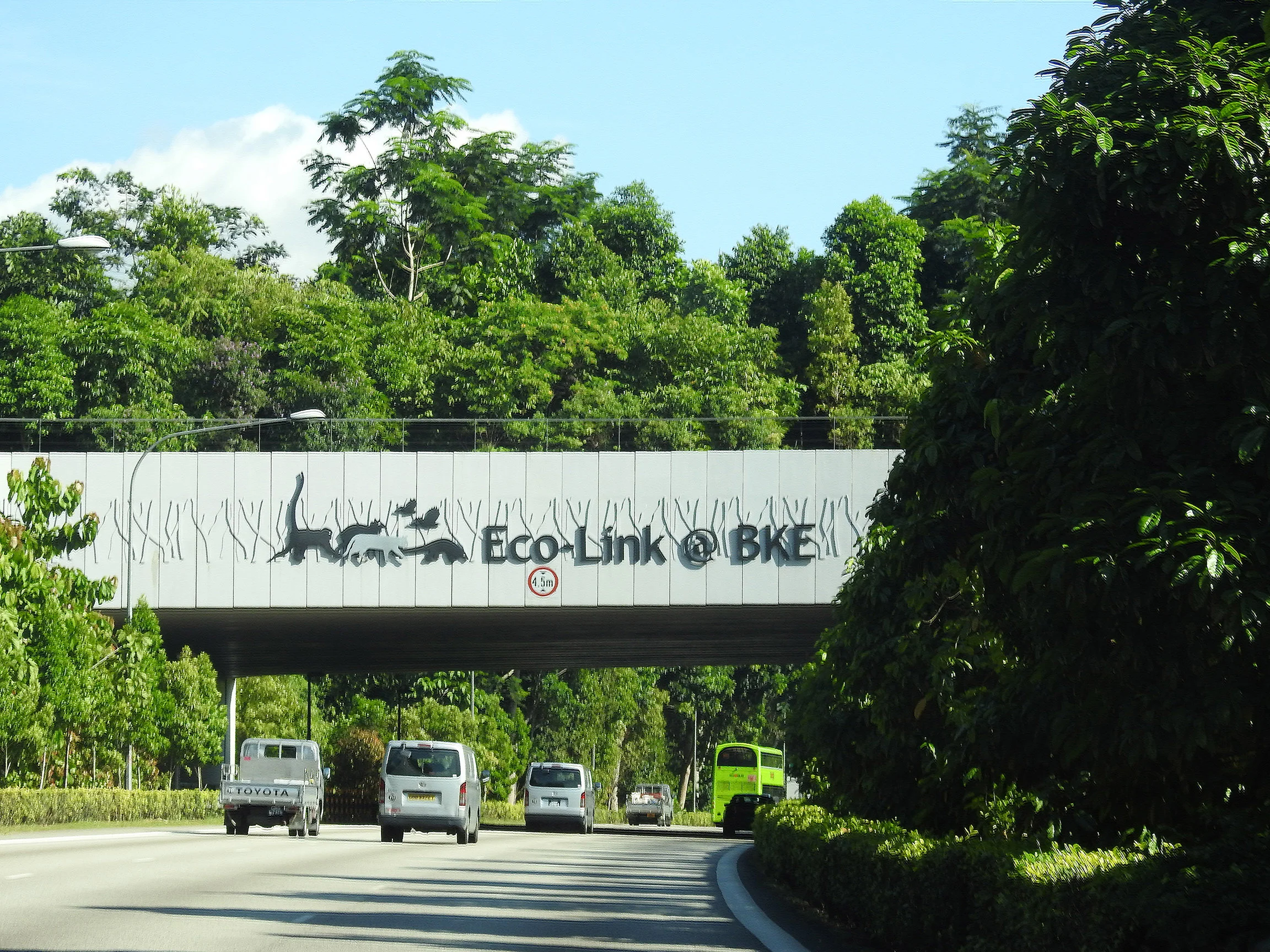 The Eco-Link@BKE seen here with large trees in July 2017. 