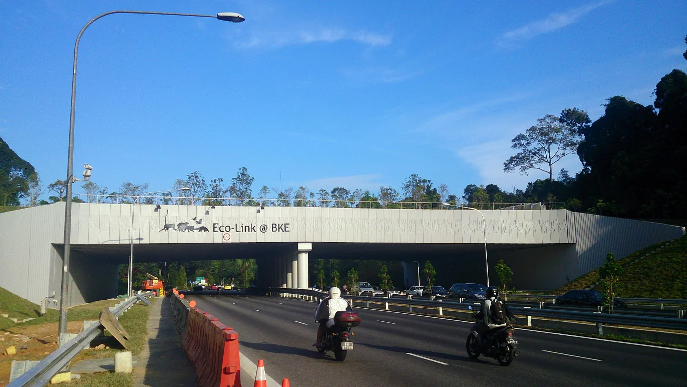 The Eco-Link@BKE just after completion of the planting in September 2013