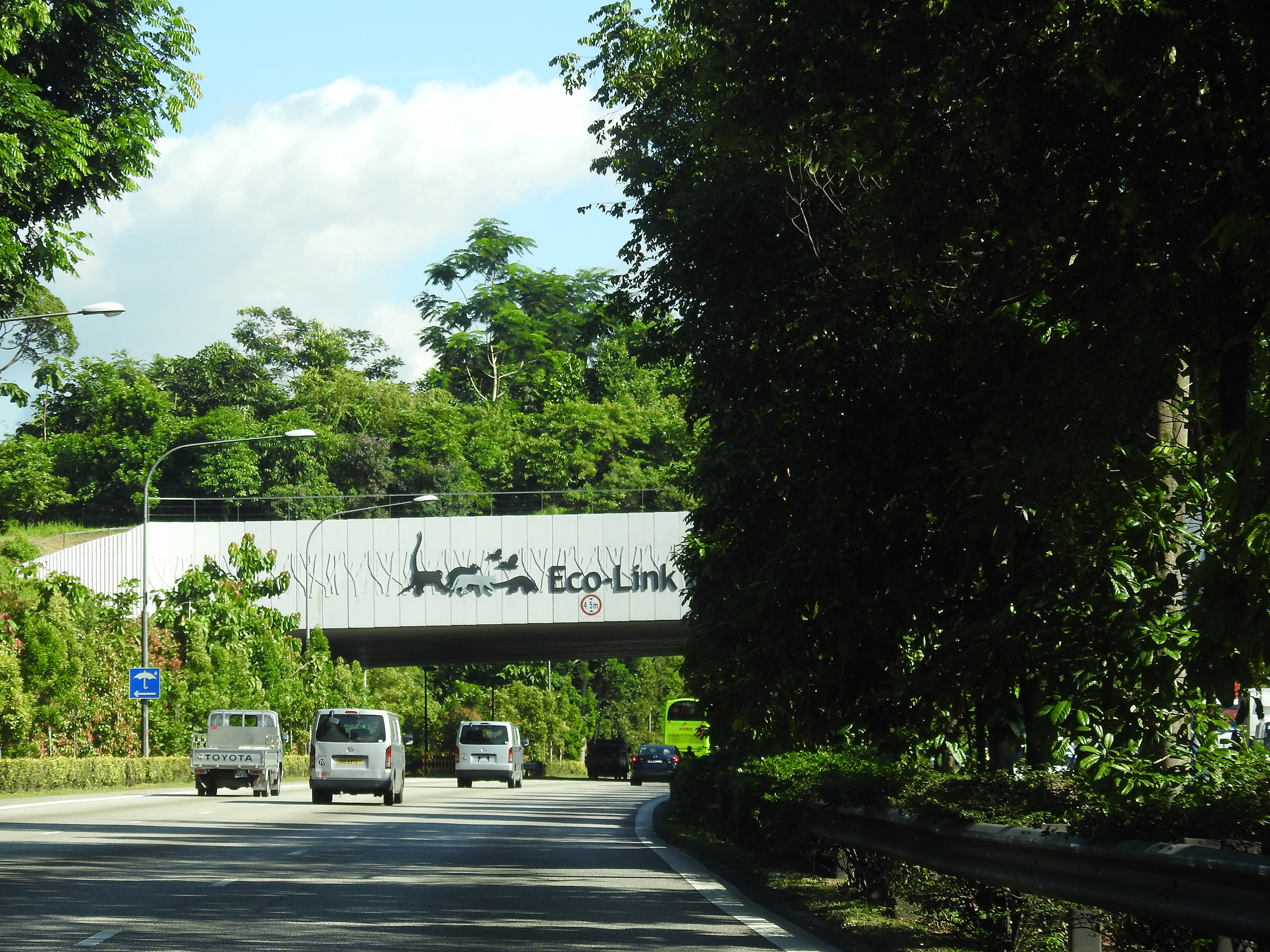 Eco-Link@BKE today - July 2017