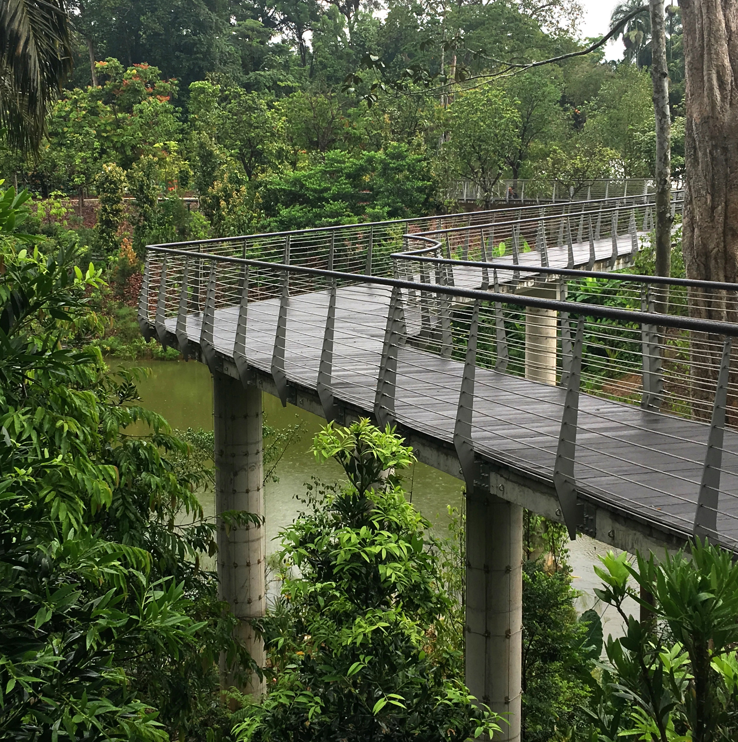 HIgh level walkway over wetlands