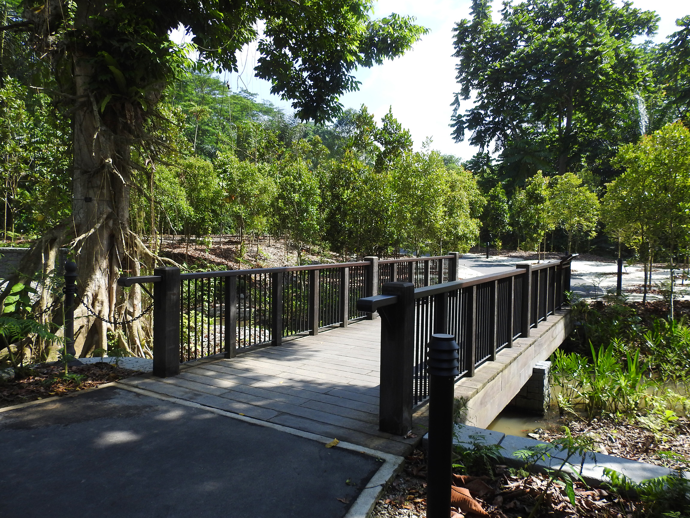 Canarium Pond Bridge