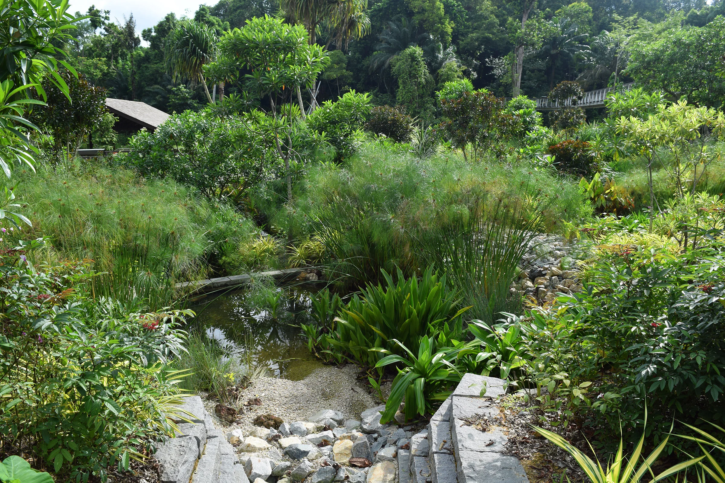 View towards Wetland Cell