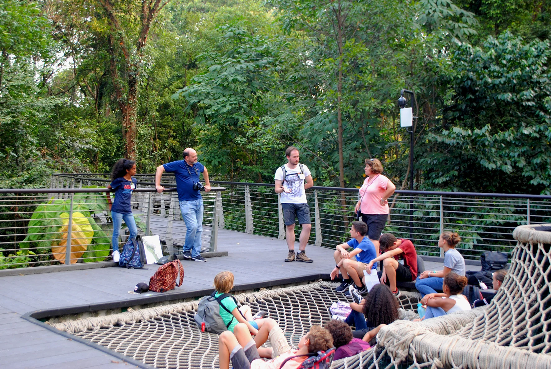 Question time while relaxing at the Canopy Web