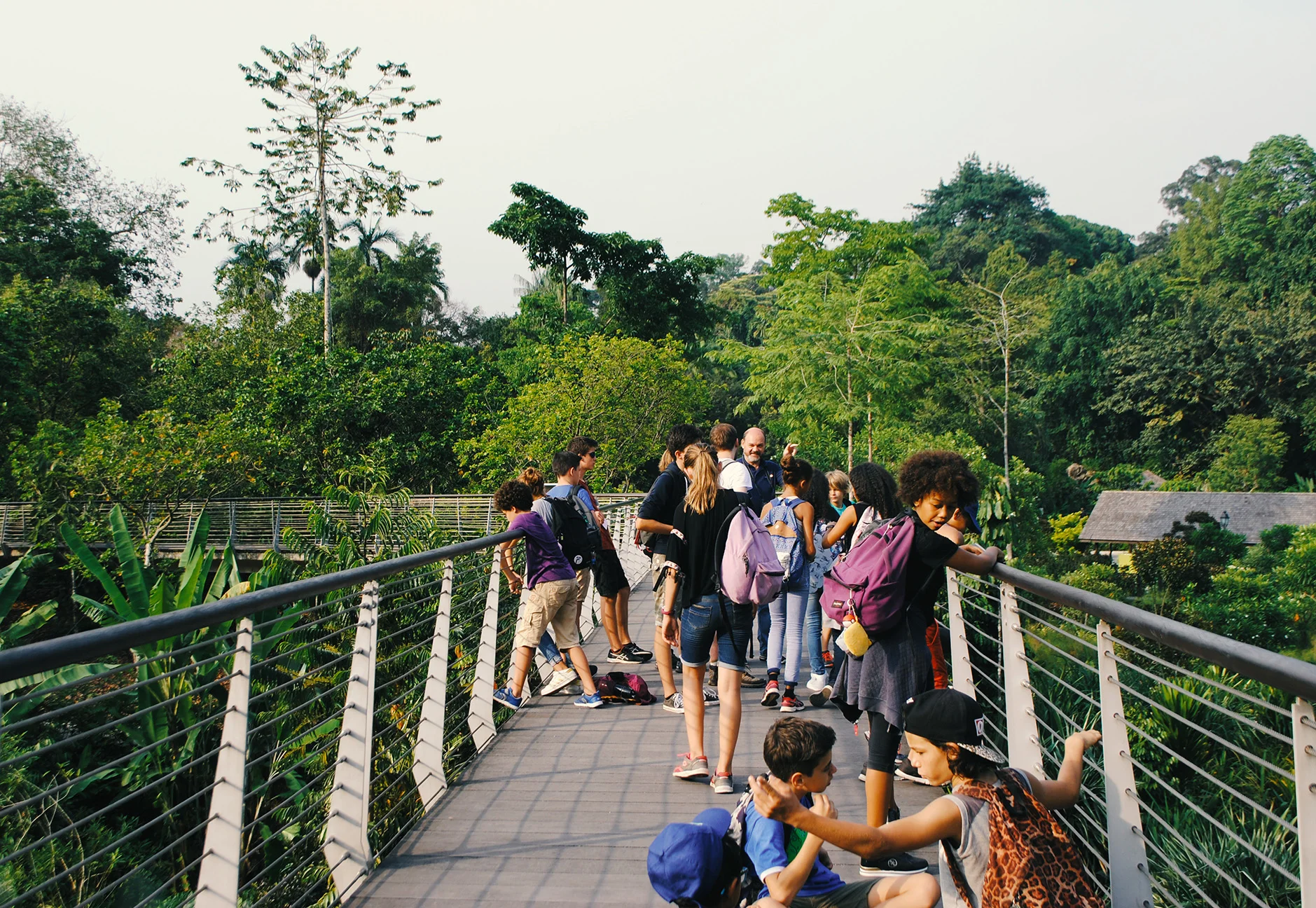 High on the Elevated Walkway above the Wetlands lake