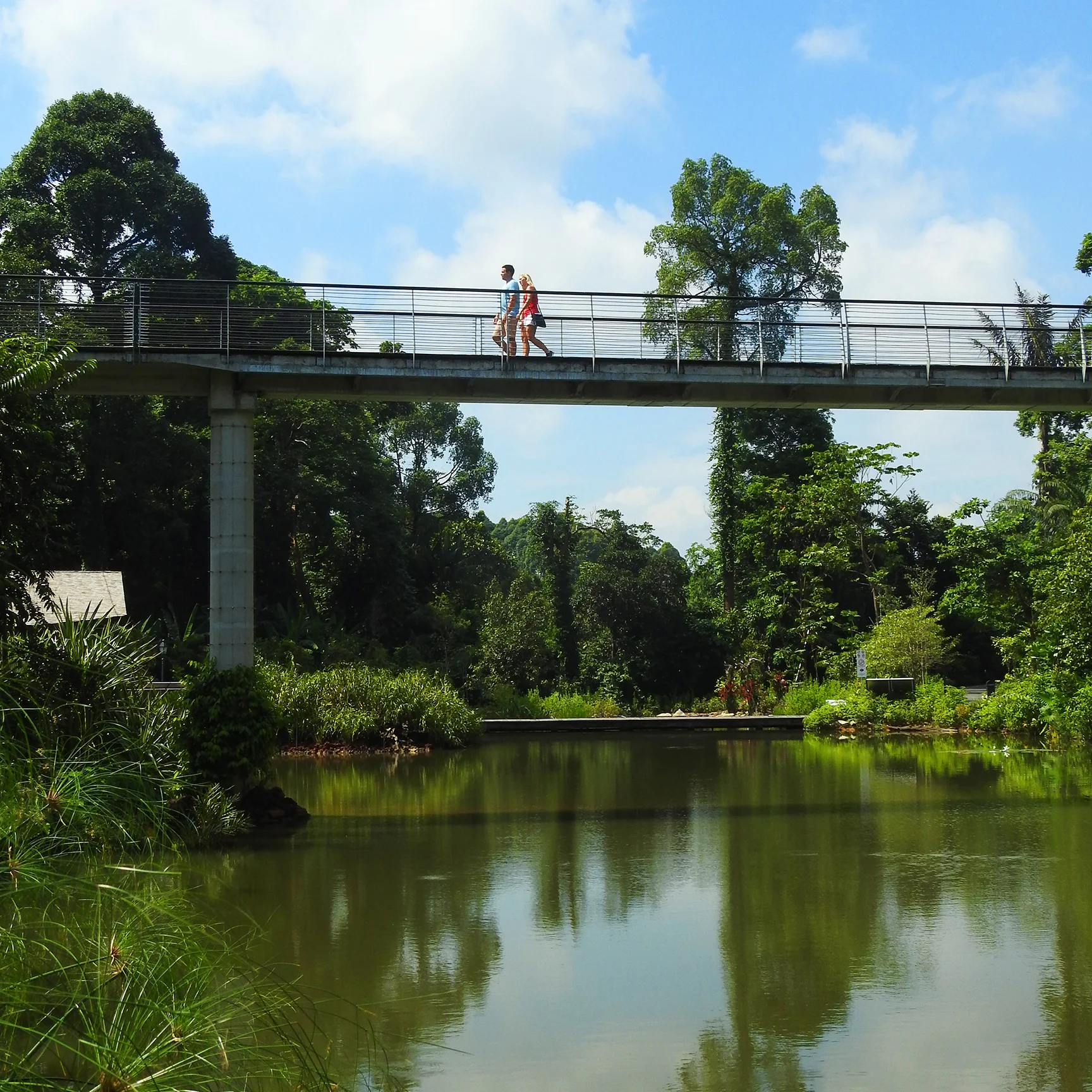 Mid wetland high level 1.jpg