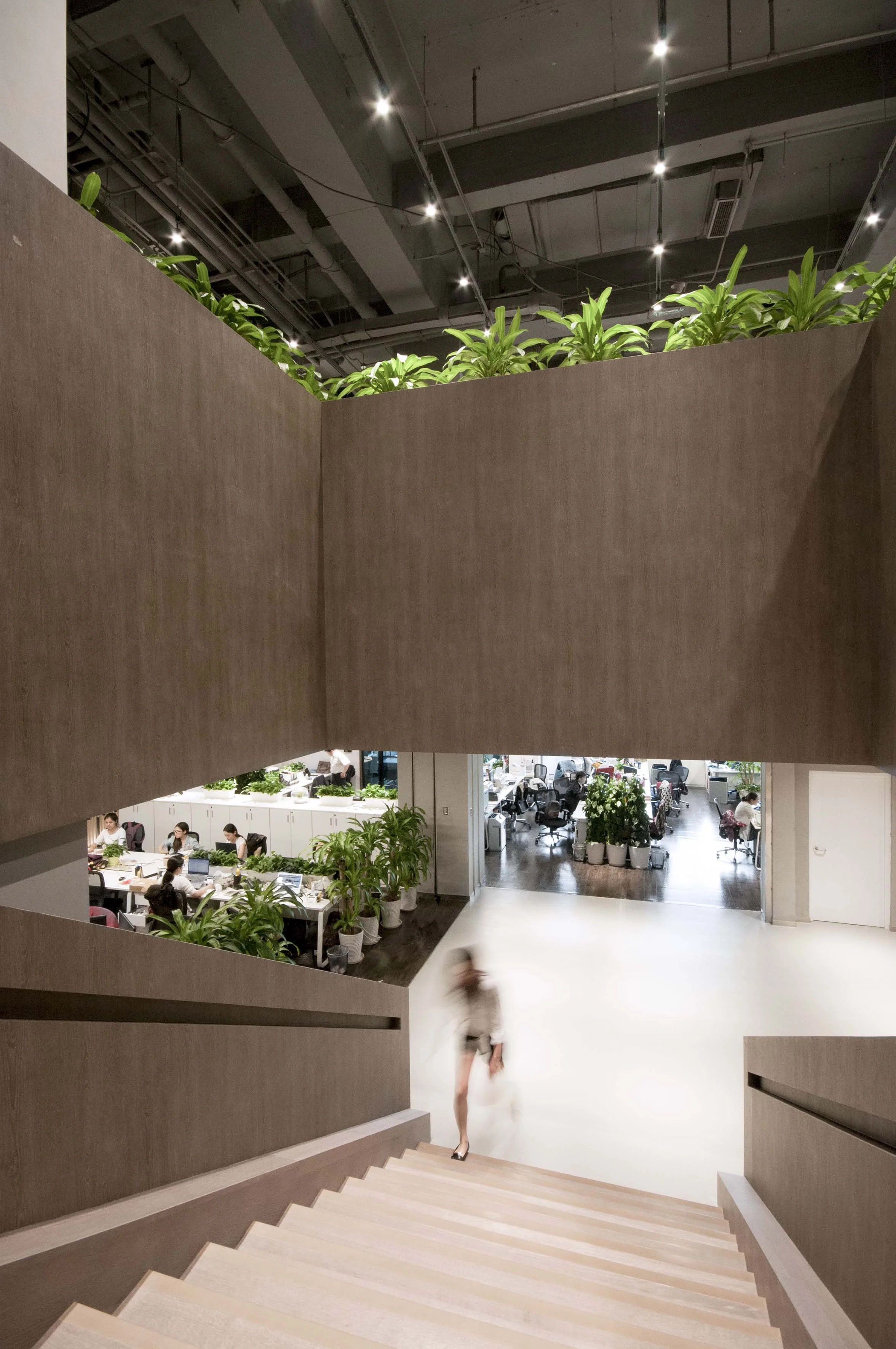 A new timber-clad staircase in the central courtyard area was designed to connect the two floors of the company, creating a dynamic social area for company meetings and multipurpose events. The main conference rooms are immediately adjacent, with full height pivot doors that can open up completely, and seating platforms for staff to occupy and address the social courtyard.