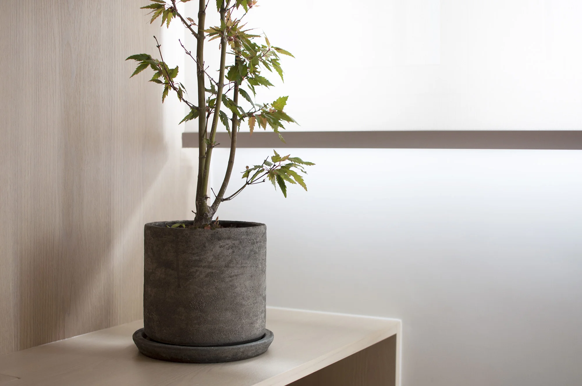 13_Bean Buro_Residential_Winfield Building_Photos.jpg