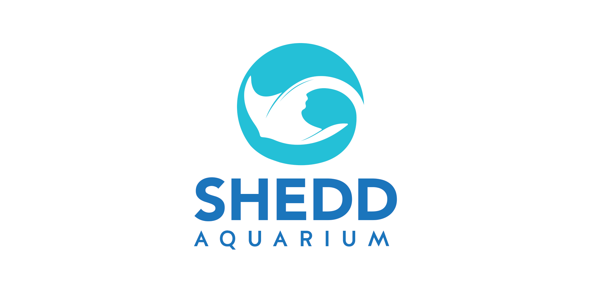 Shedd Aquarium — Sara Clark Design