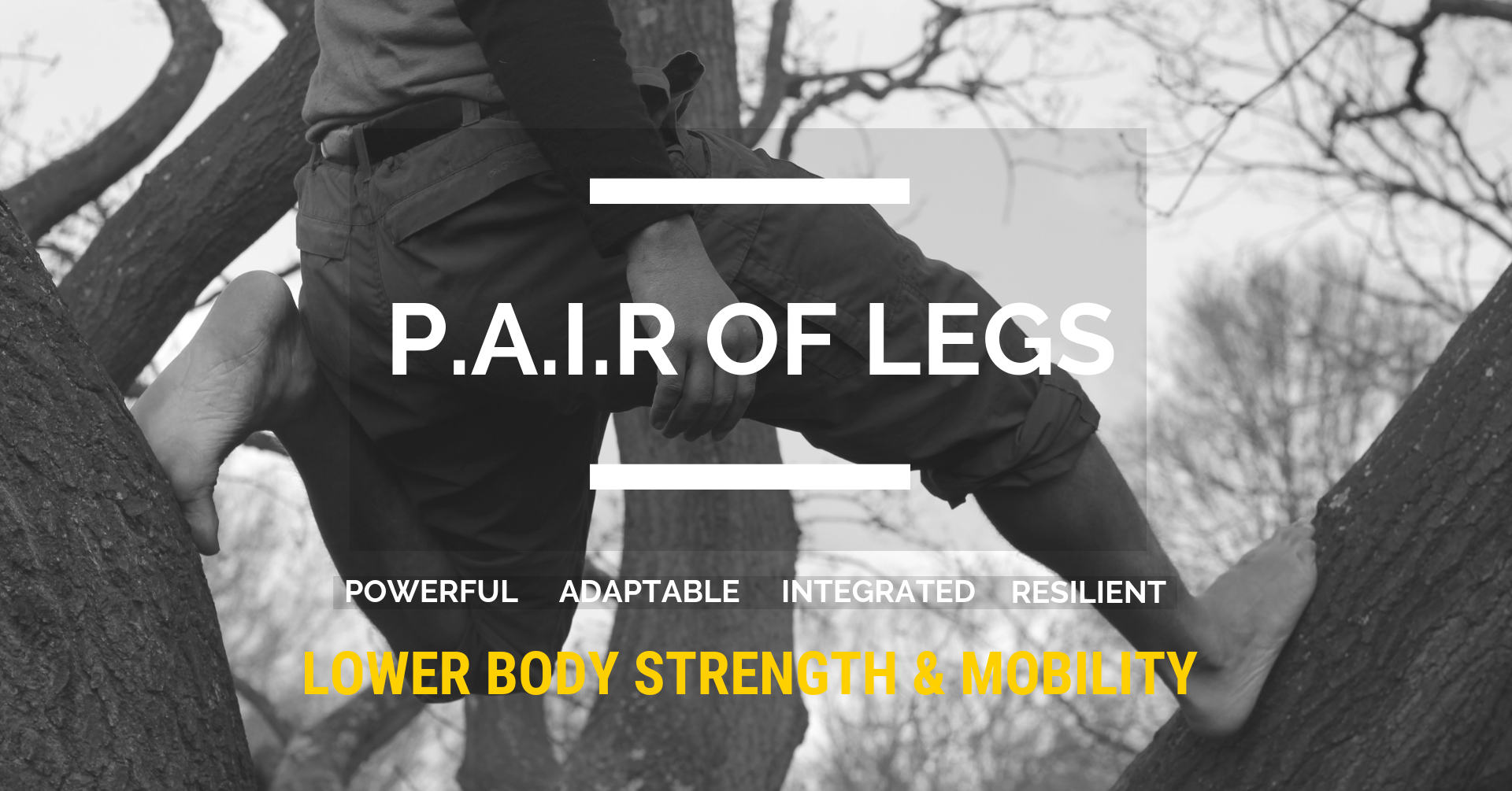 pair of legs FB event-5.png