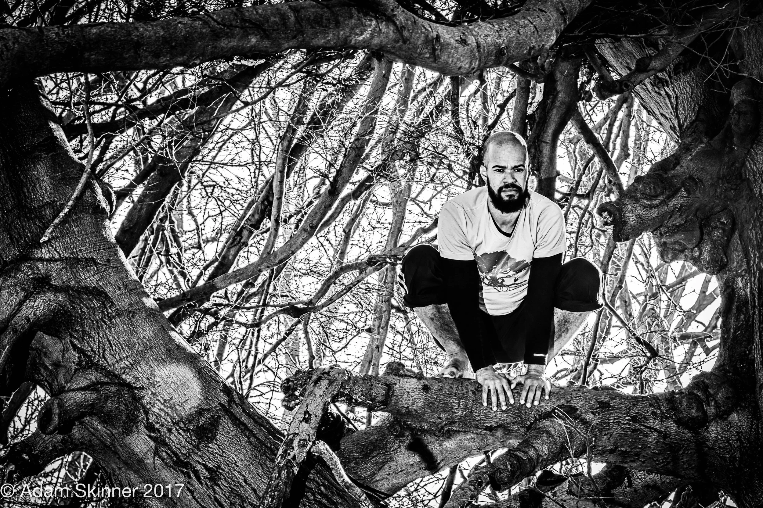 DSC00155-Edit_noir.jpg