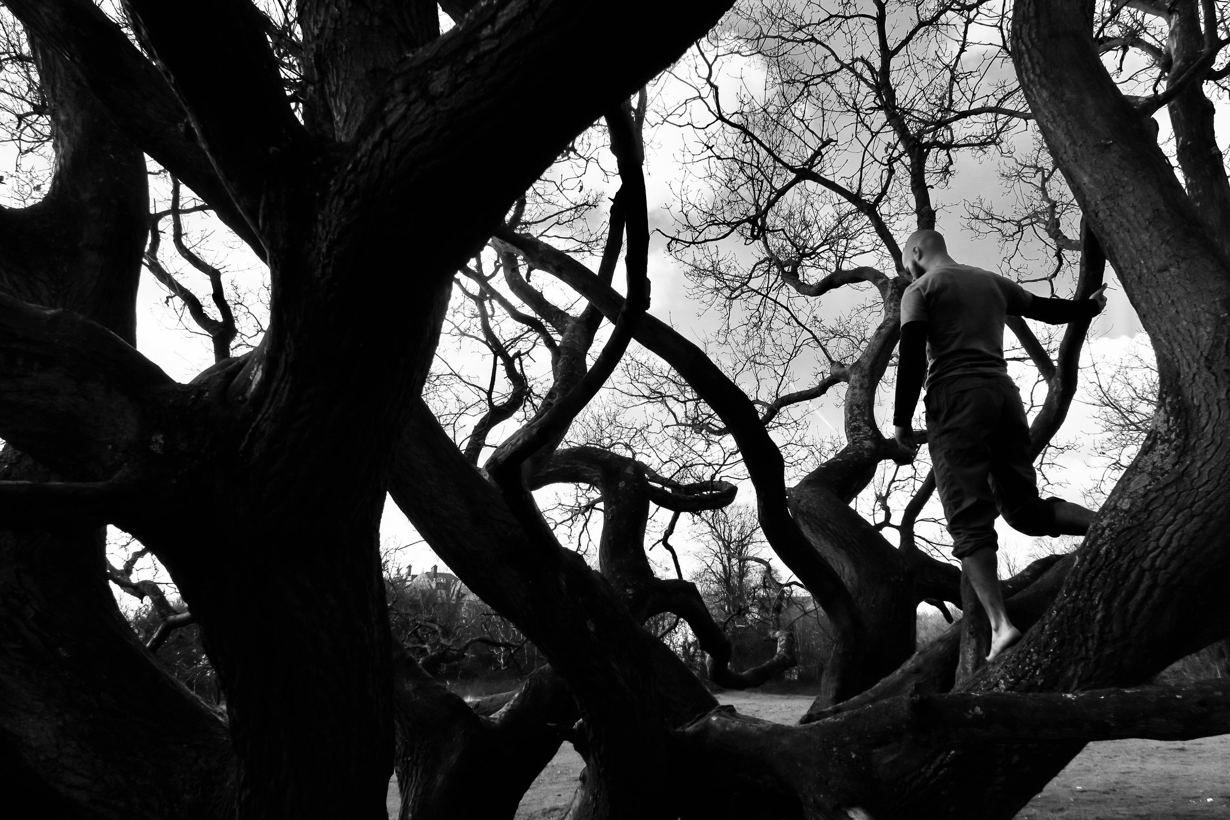 IMG_3659_noir.jpg