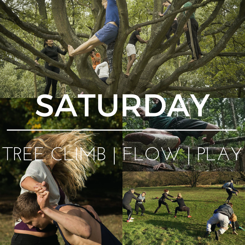 Tree Climb | Flow | Play - Drop-in