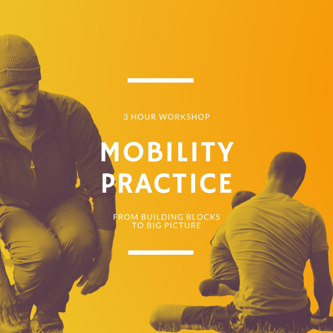 Mobility Practice: From Building Blocks To Big Picture