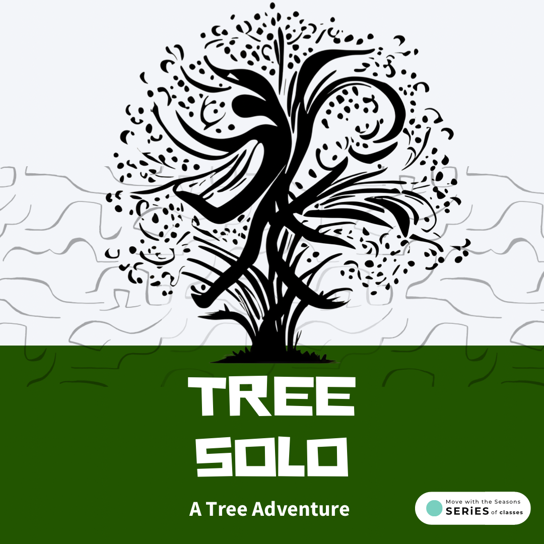 Tree Solo - SERiES of classes S2