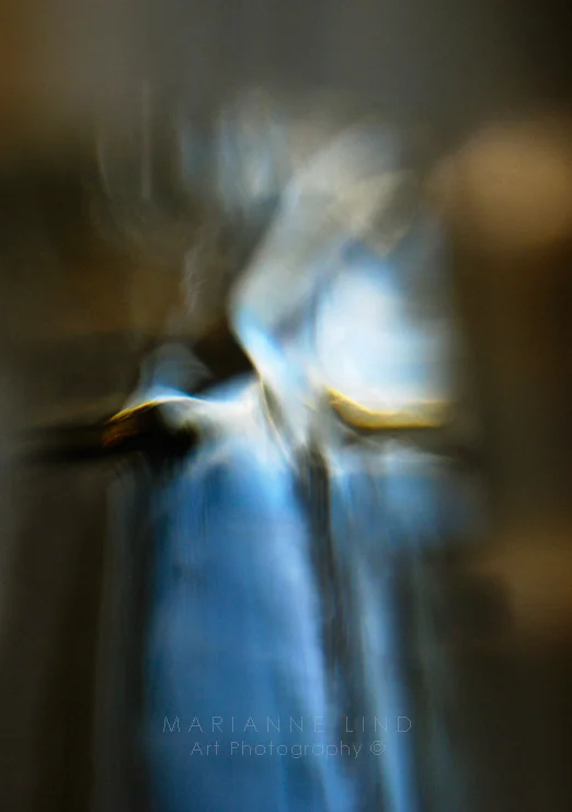 Under my wings Limited Edition, available in various sizes. Unique photographs of light refractions in glass. Mounted with plexiglas or framed. For inquiries contact fotograf@mariannelind.se