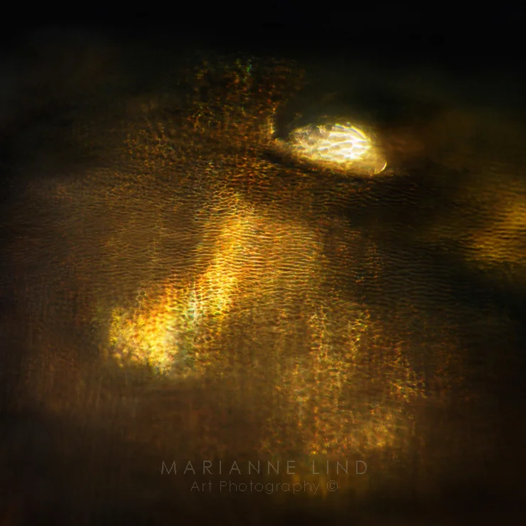 Faith Limited Edition, available in various sizes. Unique photographs of light refractions in glass. Mounted with plexiglas or framed. For inquiries contact fotograf@mariannelind.se
