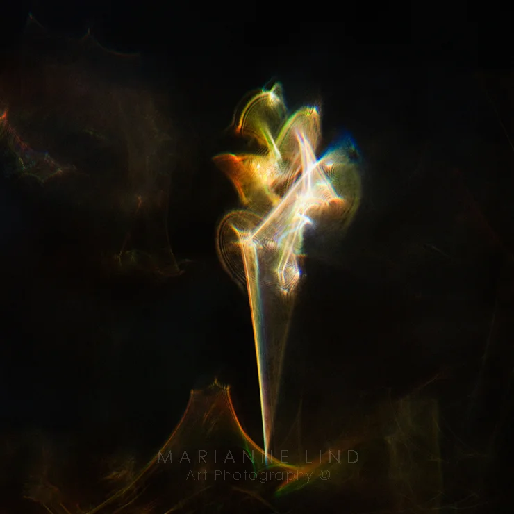 Hidden in the dark Limited Edition, available in various sizes. Unique photographs of light refractions in glass. Mounted with plexiglas or framed. For inquiries contact fotograf@mariannelind.se