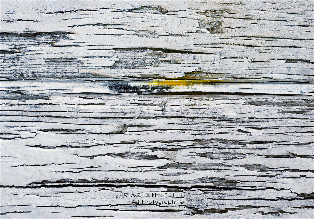 Nr 3755, Limited Edition 1/100, Available in various sizes