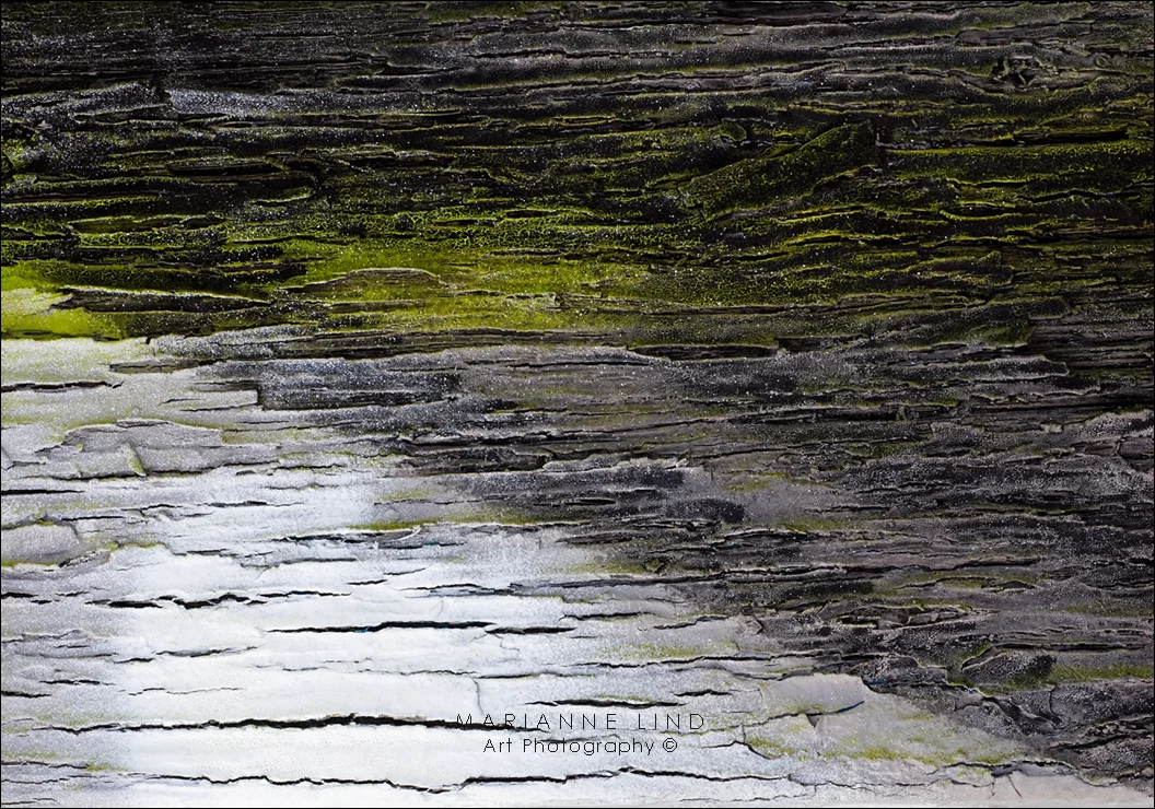Nr 2995, " Early Spring", Limited Edition 1/100, Available in various sizes