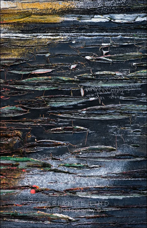 No 8715, " Moonlight serenade ", Limited Edition 1/100, Available in various sizes