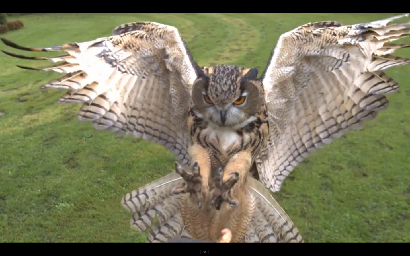 Screen shot 2011-09-01 at 10.57.45 AM.png