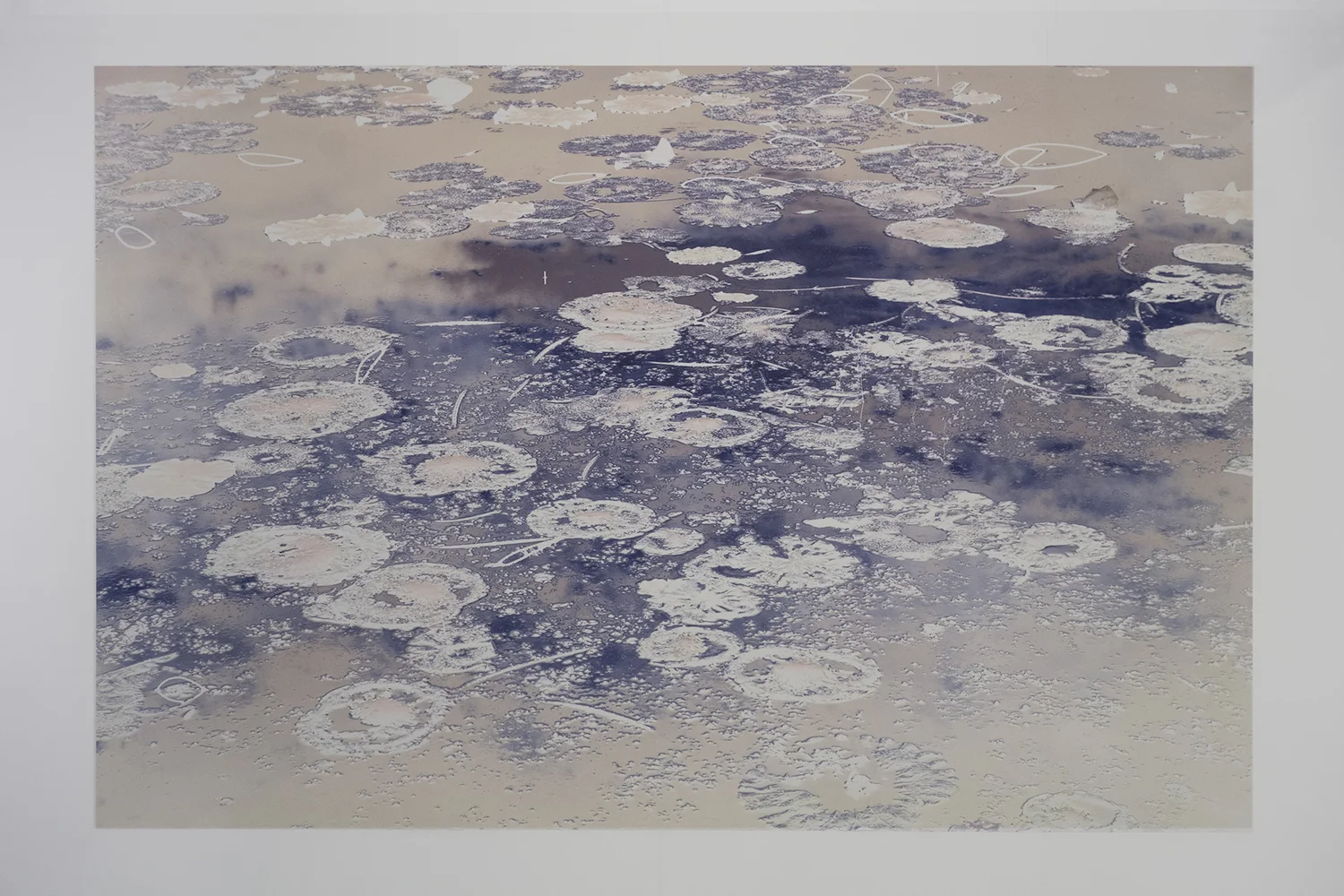 Truc-Anh_2013_Pustulles-Edeniques